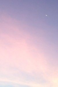 勇士战胜森林狼，实力决战勇猛如斯