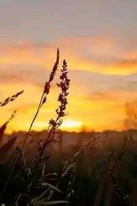 甘肃队客场逆袭：在异乡赛场写下辉煌一页