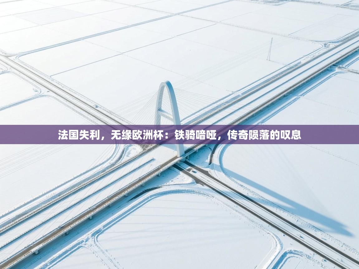 法国失利,无缘欧洲杯:铁骑喑哑,传奇陨落的叹息 第1张