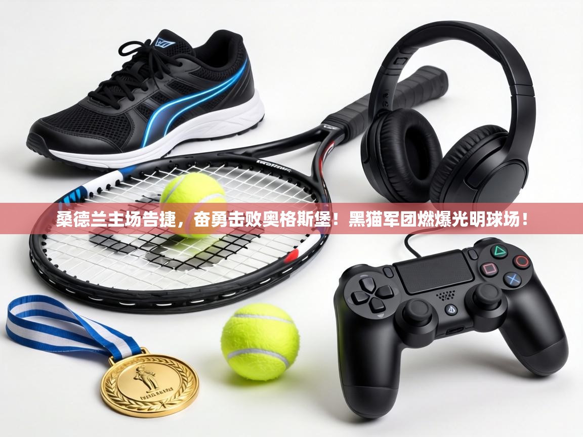 桑德兰主场告捷，奋勇击败奥格斯堡！黑猫军团燃爆光明球场！  第2张